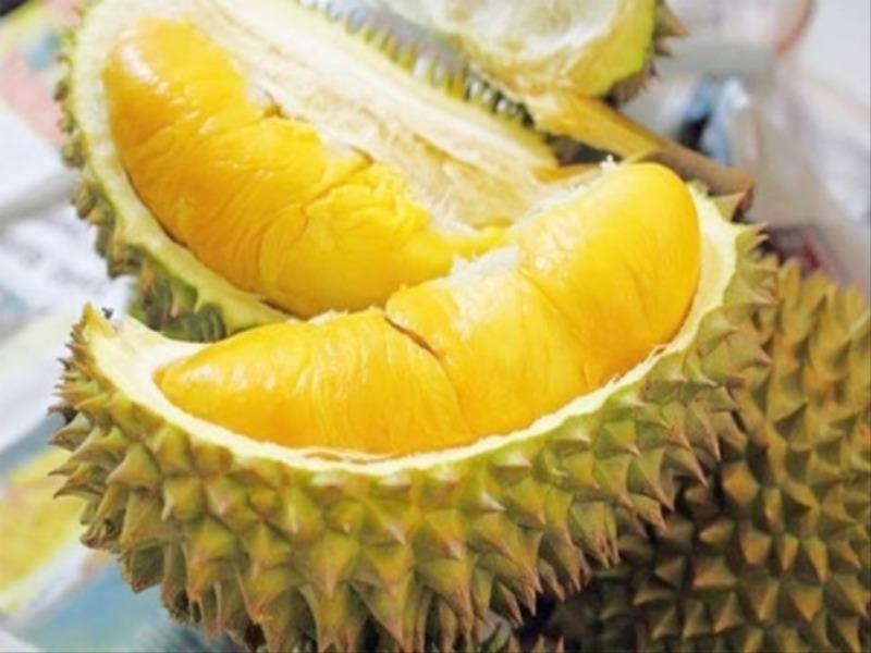 Sầu riêng Đắk Mil